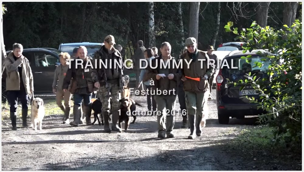 Dummy Trial Video 1000x566