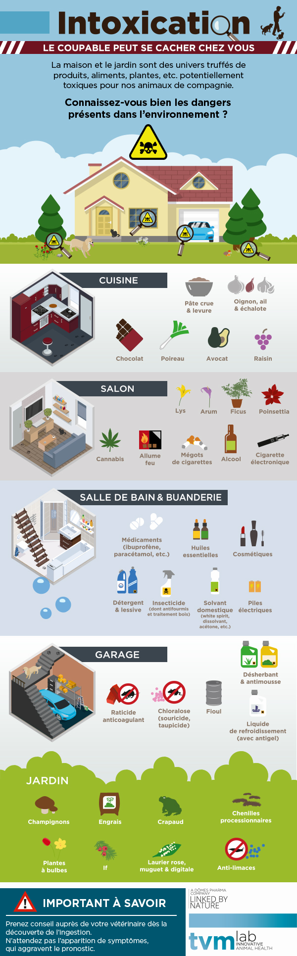 Infographie intoxication