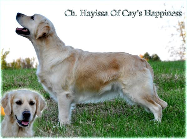 HAYISSA OF CAY'S HAPPINESS